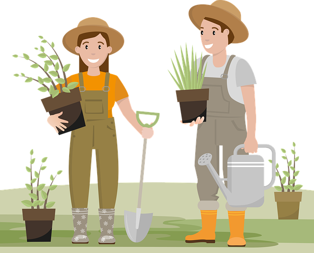 De magie van de drop plant: een diepgaande verkenning
